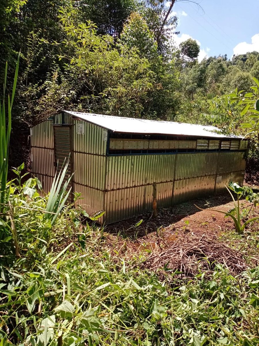 Site Office Container #10